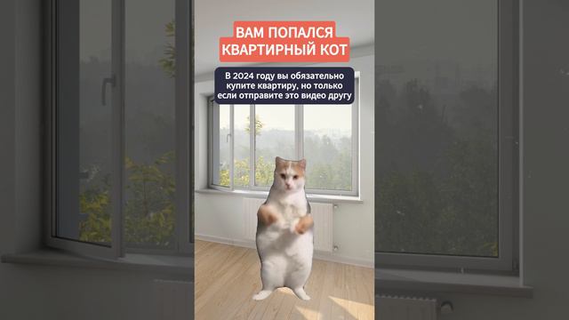Котики не врут! смотреть онлайн