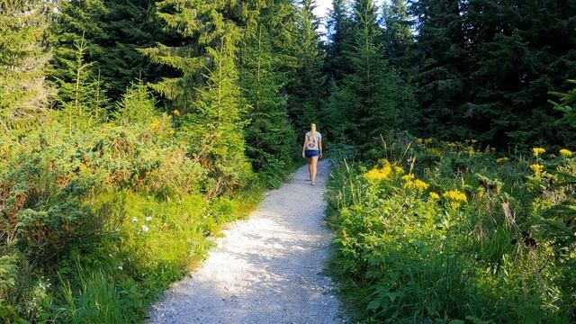 Zlatnite Mostove (Златните мостове) Vitosha Bulgaria смотреть онлайн