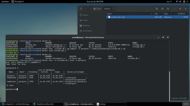 Backup Psotgres en Docker смотреть онлайн
