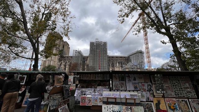 Notre Dame November 2022 смотреть онлайн