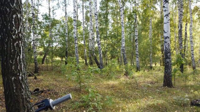 Мотоцикл для леса. Какой выбрать?