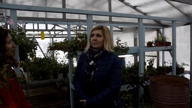 Отапливаемая теплица для цветов смотреть онлайн