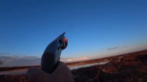 МР 155 Профи. Разбор полёта после охоты на гуся. Лежачий скрадок