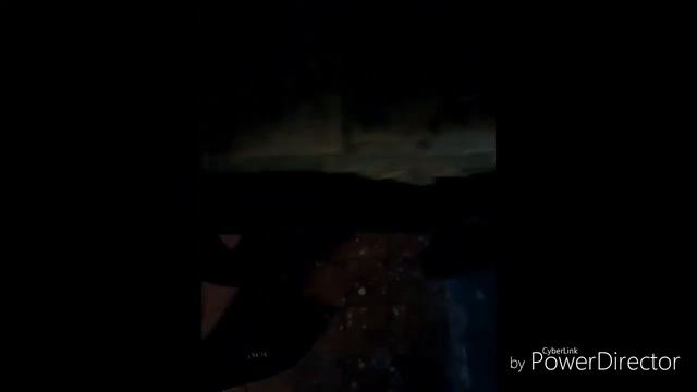 ВАНЯ ШУТ ПРОВЕРИЛ ПРЕЗИК смотреть онлайн