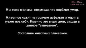 Человек без Судьбы