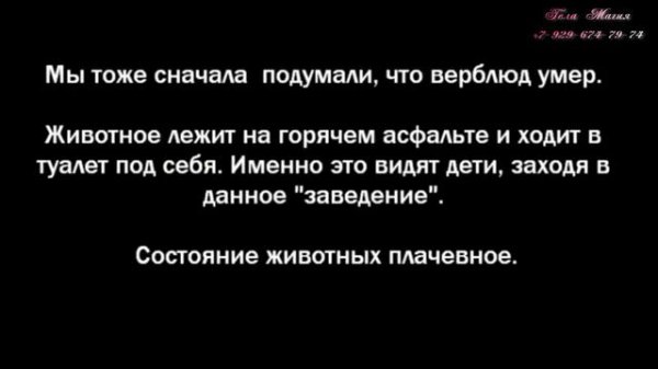 Человек без Судьбы