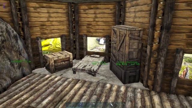 BACK ON THE ANKY HUNT!