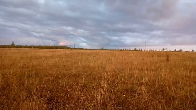 15.09.21. РАДУЖНЫЙ МОСТ ,,ОДИН ,ГЕРИ И ФРЕКИ,, !!! смотреть онлайн