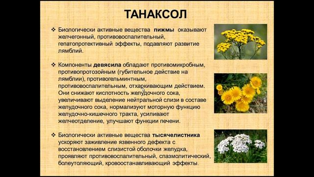 Продукция Арго при лямблиозе - Антасюк Надежда (Урал Арго) смотреть онлайн