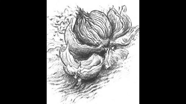 Букрейлер по книге ГЮНТЕРА ГРАССА "Луковица памяти" смотреть онлайн