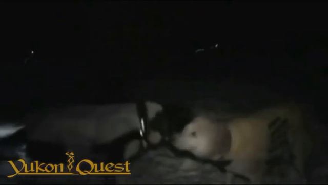Yukon Quest 2010 - Eagle - Brent Sass + Abbie West смотреть онлайн