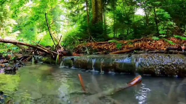 Періштелер туралы біз не білеміз? смотреть онлайн