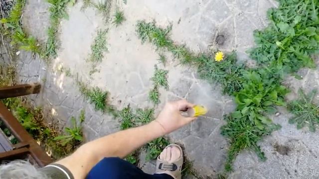 Как инициировать шашку ПЕШКА В смотреть онлайн