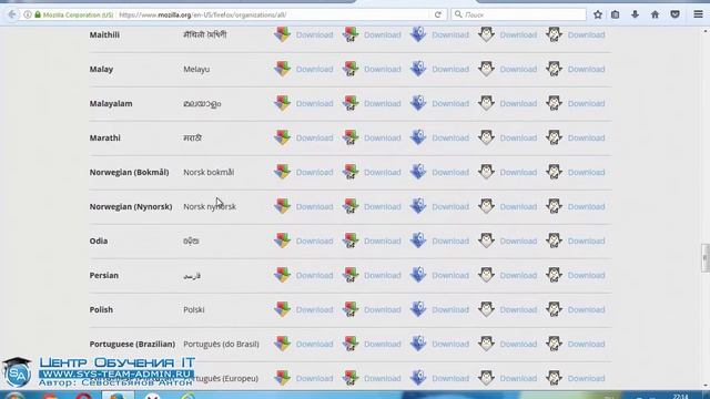 Mozilla Firefox перестал поддерживать плагины. Как включить поддержку Java? Mozilla Firefox ESR
