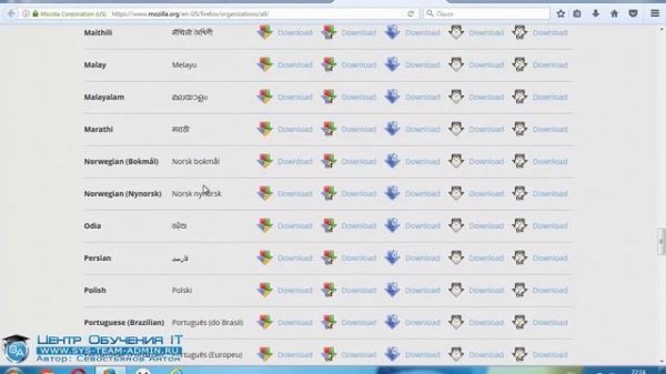 Mozilla Firefox перестал поддерживать плагины. Как включить поддержку Java? Mozilla Firefox ESR