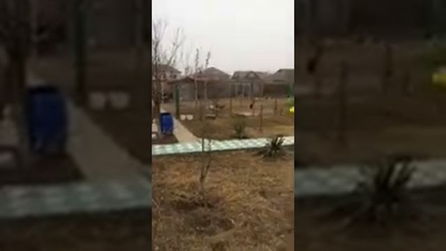 Davud Davudov зима 14-02-2014 смотреть онлайн