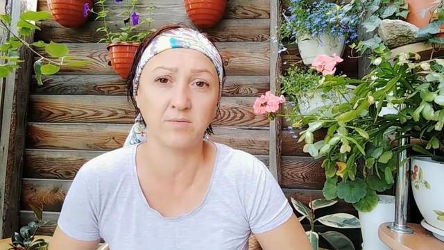 Бессовестный парикмахер/Без лоха и жизнь плоха. смотреть онлайн