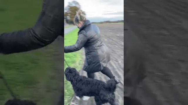 Погуляли не много смотреть онлайн