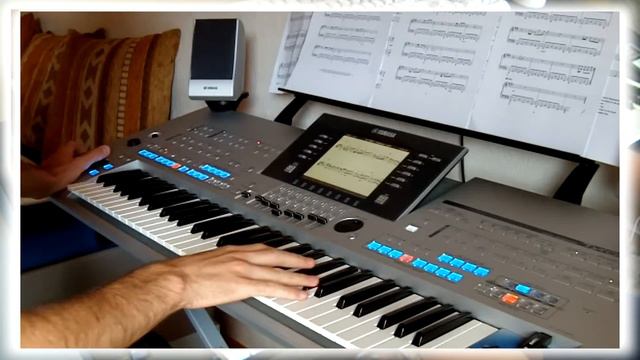 Ionica Bizau and Chriss - Dolannes Melody - Richard Clayderman Cover (Yamaha PSR8000 & Tyros4) смотреть онлайн