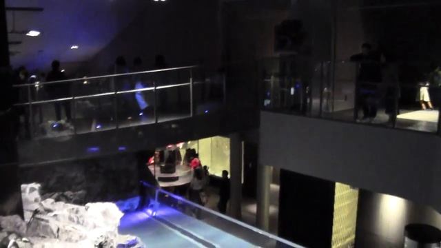 Аквариум, расположенный в Skytree в Токио ( ´ ▽ ` )Япония достопримечательности смотреть онлайн