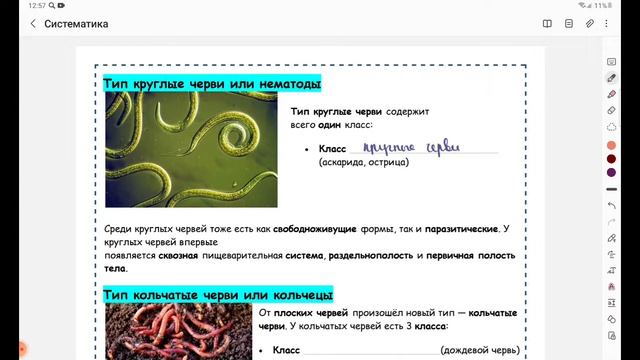 Систематика животных смотреть онлайн