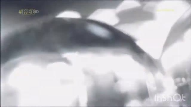 А ТЫ ПОМНИШЬ ЭТИ ХИТЫ?ЭТИ ПЕСНИ БЫЛИ У КАЖДОГО! ЧАСТЬ 1 смотреть онлайн