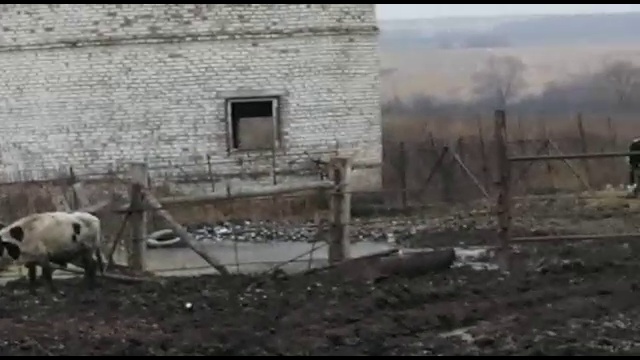 ферма крупного рогатого скота смотреть онлайн