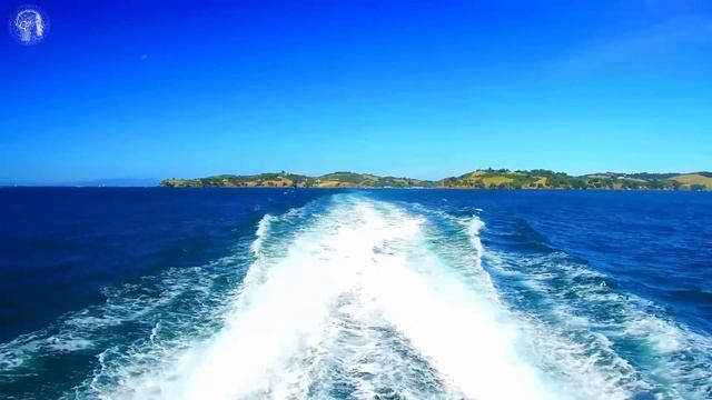 Как стать творцом и не быть жертвой | Джо Диспенза смотреть онлайн