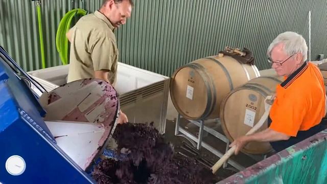 Vintage 2021 - Genista Wines