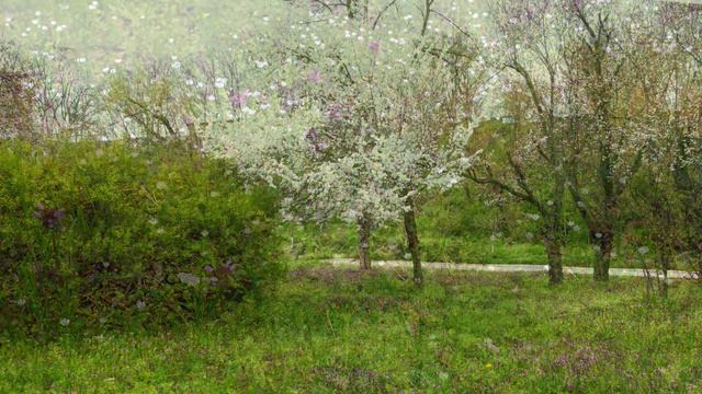 Весенний день в Тирасполе и ужин с друзьями