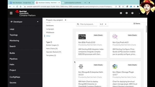 OpenShift Developer Console смотреть онлайн