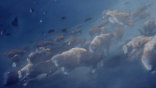Justice - Civilization [OFFICIAL VIDEO 1080p] HD смотреть онлайн