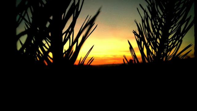 Greensleeves (flute solo cover) смотреть онлайн