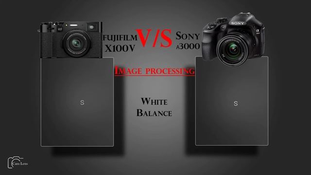 FUJIFILM X100V vs Sony α3000 смотреть онлайн