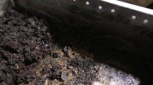 Вермиферма своими руками - ЗАБЫЛ!!!!