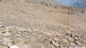 Горная охота на тура.