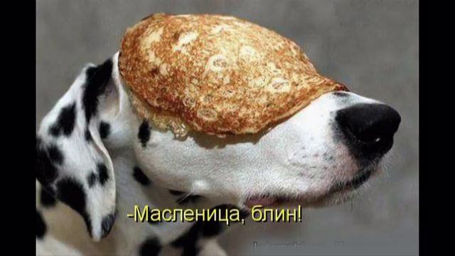 Масленица.mpg смотреть онлайн