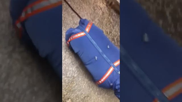 Пыха и комбез смотреть онлайн