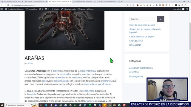 ➡️ Tutorial de FIXED WIDGET en Español 2024 ➜ Plugin para Fijar Widgets en WordPress (Gratis) смотреть онлайн
