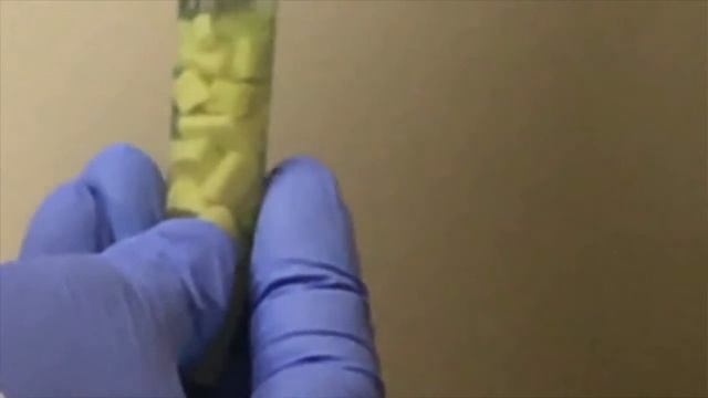 PRO Scientific Homogenizer quickly homogenizes Avocado samples (Persea americana) смотреть онлайн