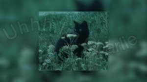 Y2mate.mx-Army Dreamers - Kate Bush (sped up)-(1080p)(2).mp4