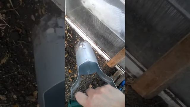 Мои уточки.голубой фаворит. смотреть онлайн