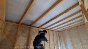 Дешевый отбеливатель для древесины | Белизна