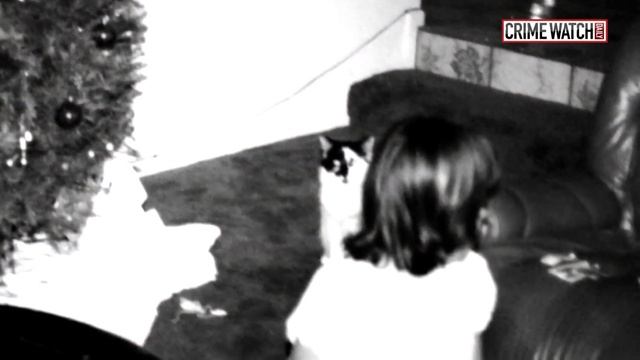 Crime Watch Daily: Two Children of Serial Killers Share Their Harrowing Stories - Pt. 1 смотреть онлайн