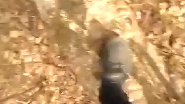 КАРАНТИН ЭТО УДОВОЛЬСТВИЕ.КАРАНТИН 2 ЧАСТЬ. ЧЕМ НАДО ЗАНИМАТСЯ НА КАРОНТИНЕ !!!! смотреть онлайн