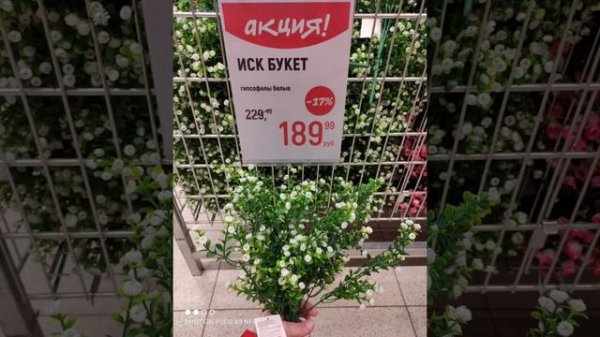 Globus - Глобус Март - Товары к Пасхе - и много искусственных цветов