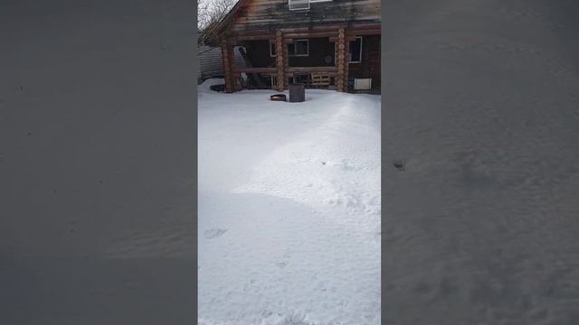 Орёл. 26 февраля. Мороз и солнце. Счастье-жить. смотреть онлайн