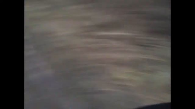 Поход к вышке. Следы волка. Болото. смотреть онлайн