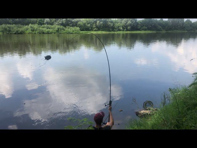 Фидер на ОКЕ/ Рыбалка в +30 / ОКА снова выручает смотреть онлайн