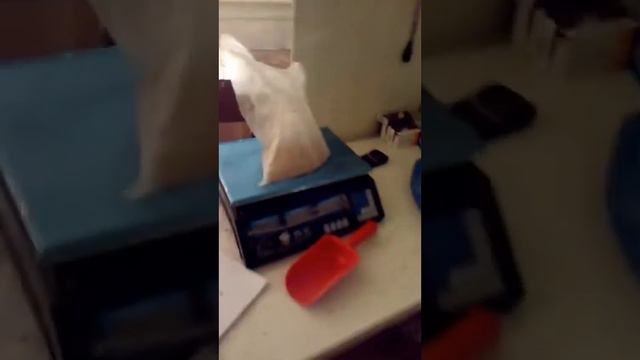 Один из рабочих дней Миши смотреть онлайн